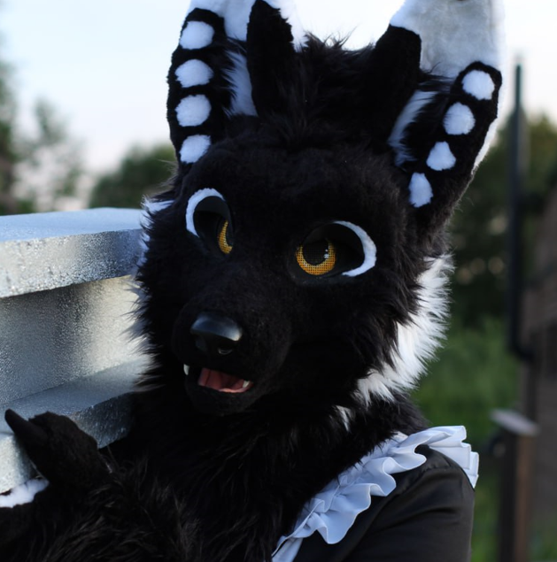 Badge image for Jansin